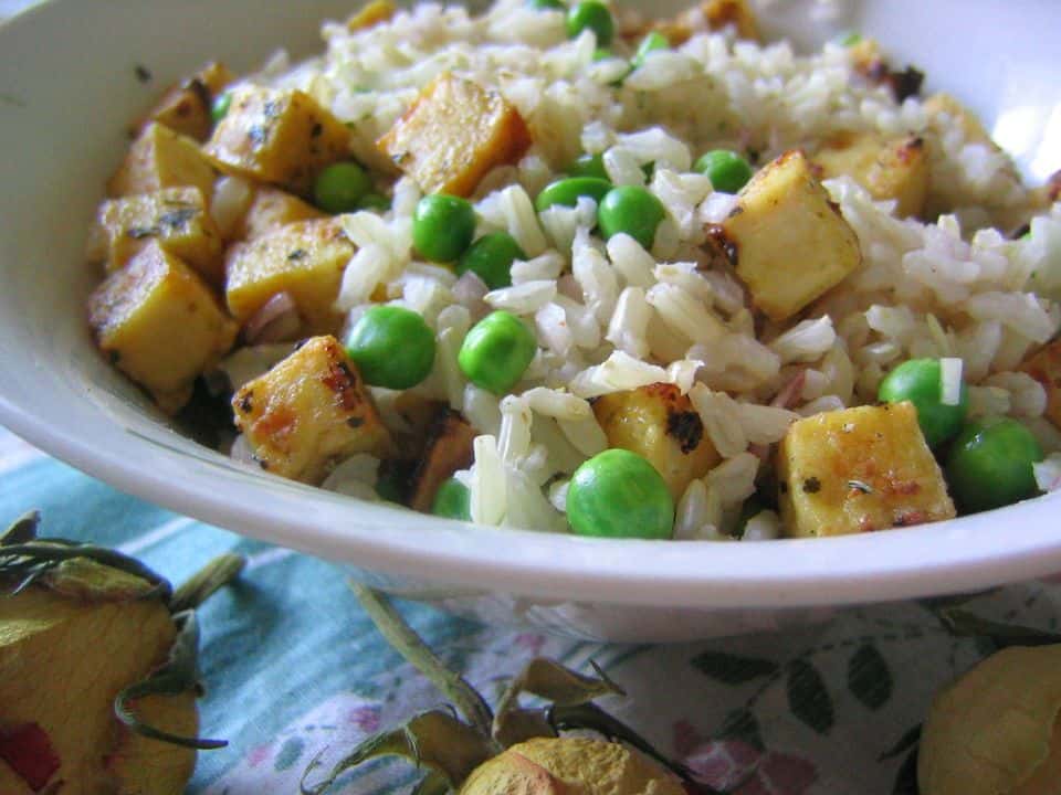 Salată de orez brun cu tempeh, mango și castravete, gata de servit