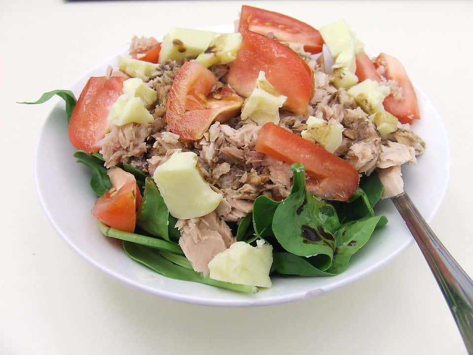 Salată de quinoa cu ton, măsline, roșii și castraveți, gata de servit