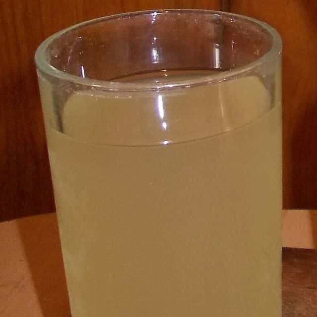 Borș