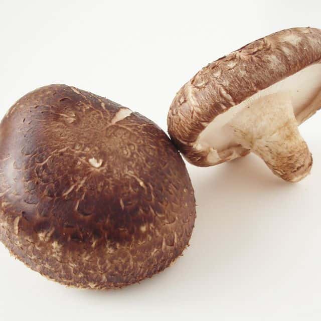 Ciuperci shiitake