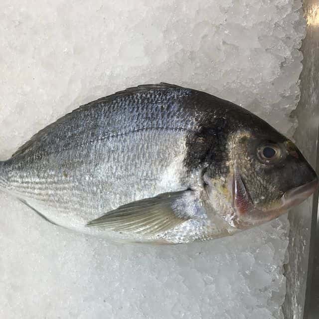 Doradă