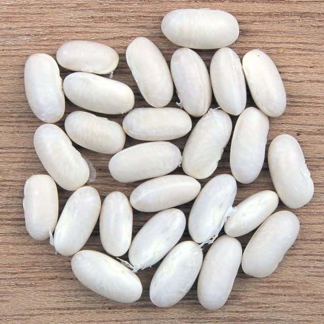 Fasole albă boabe (uscată)