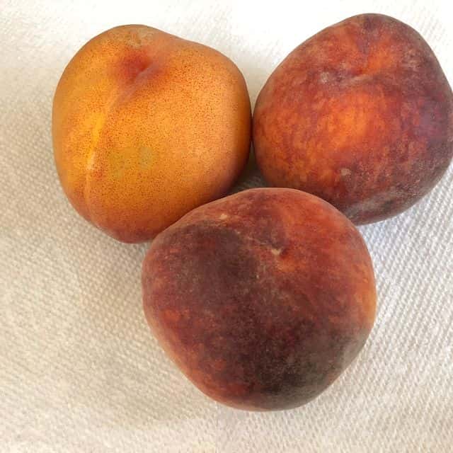 Piersici