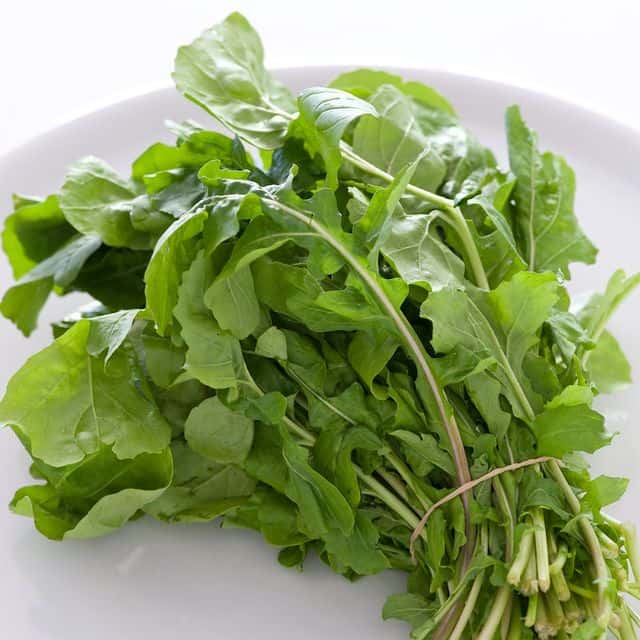 Rucola