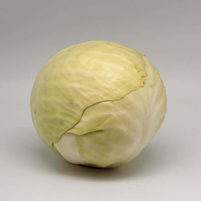 Varză albă