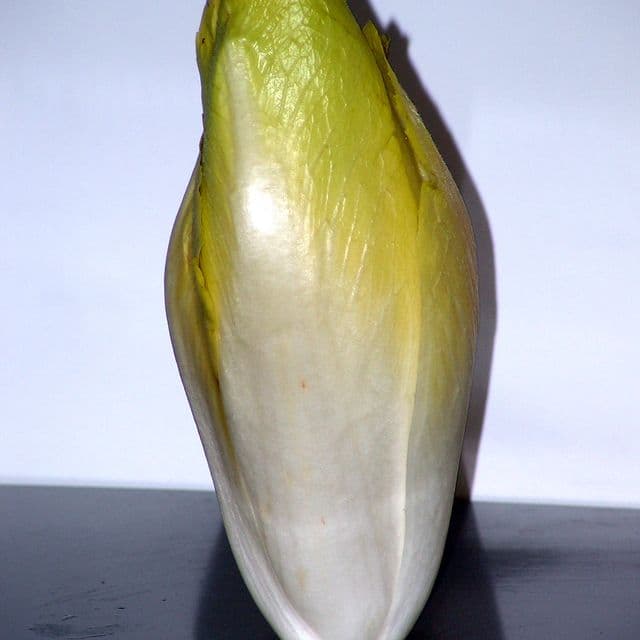 Andive