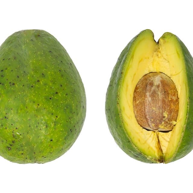 Avocado