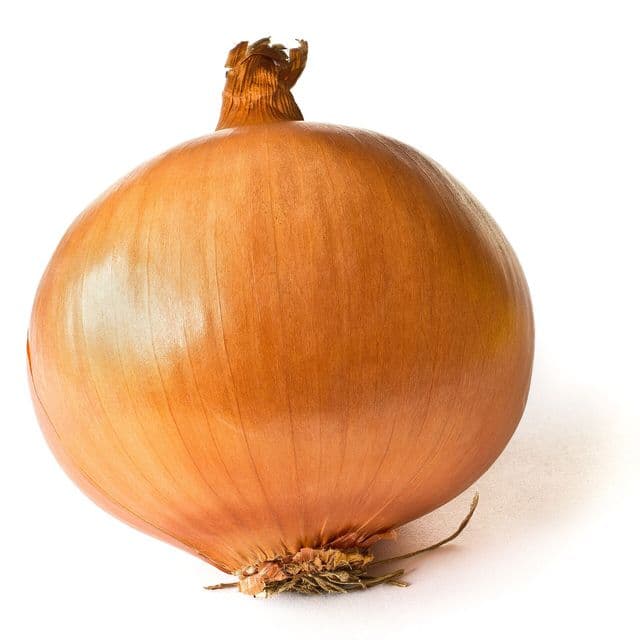 Ceapă