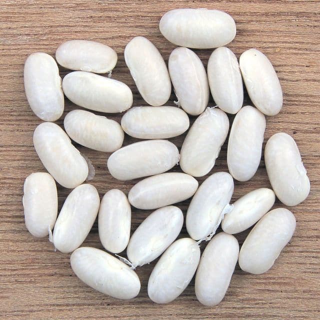 Fasole albă boabe (uscată)