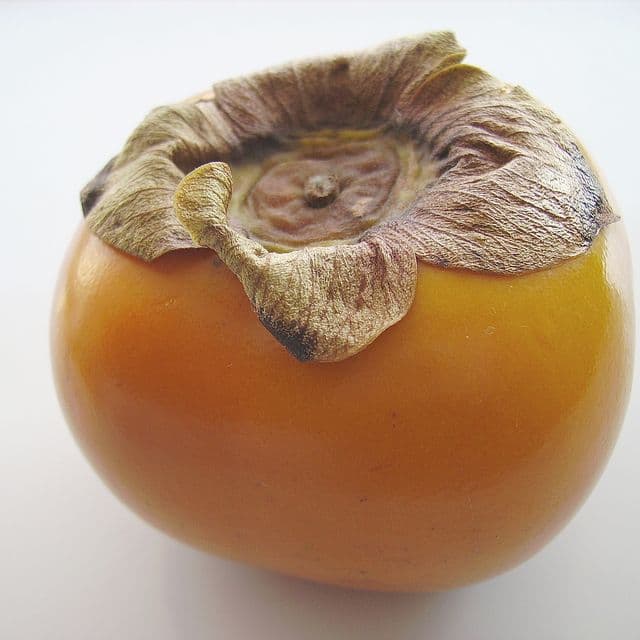Kaki