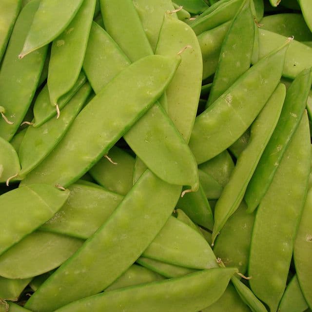 Mazăre dulce păstăi (mangetout)