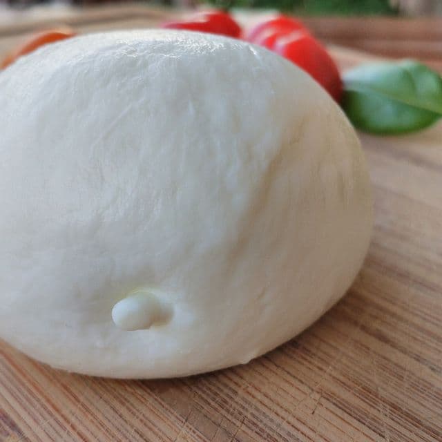 Mozzarella