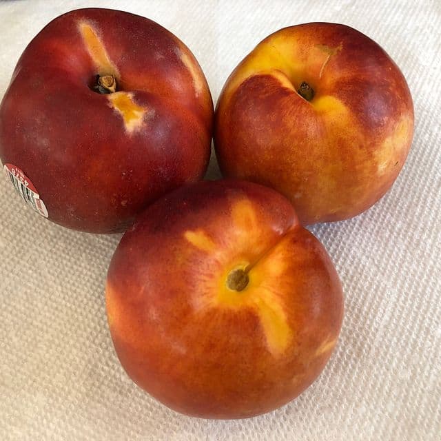 Nectarine