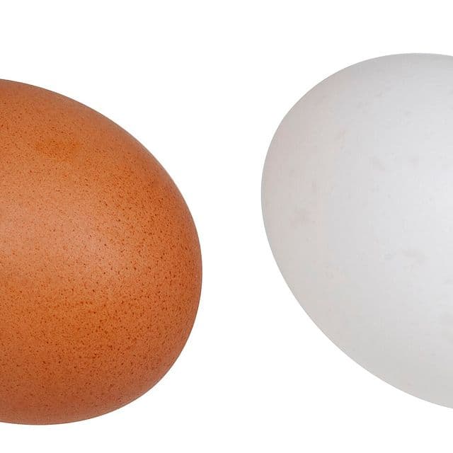 Ouă