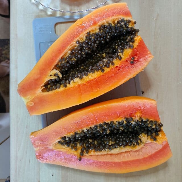 Papaya