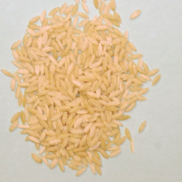 Paste orzo (risoni)