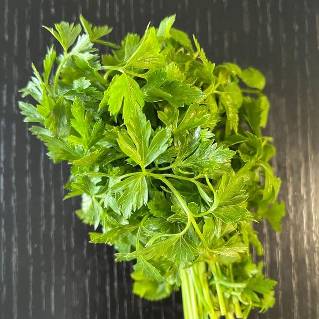Pătrunjel verde