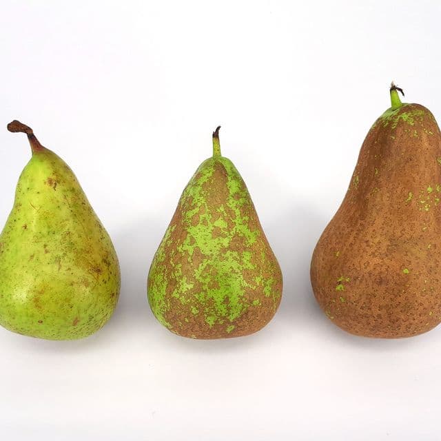 Pere