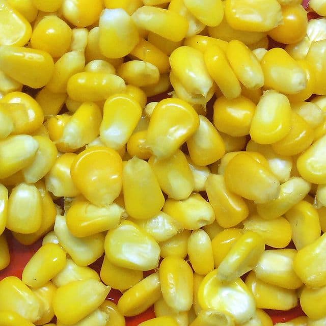 Porumb dulce (conservă, scurs)