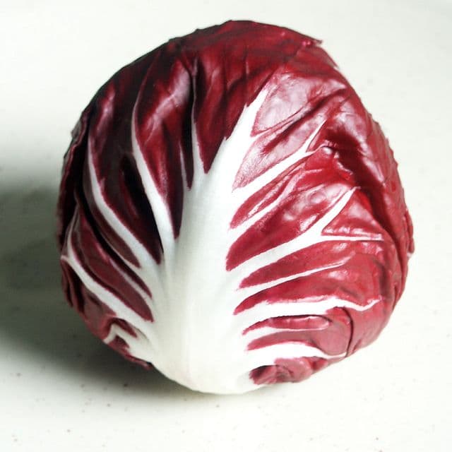 Radicchio