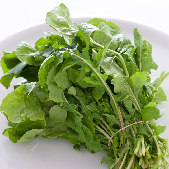 Rucola