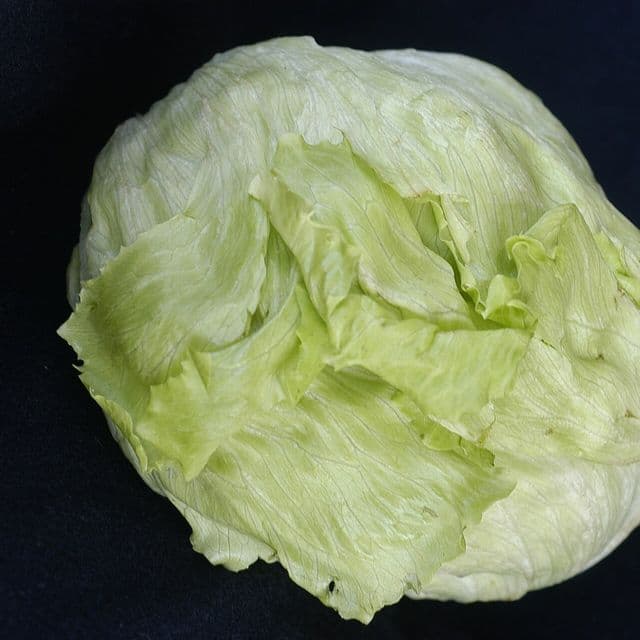 Salată iceberg