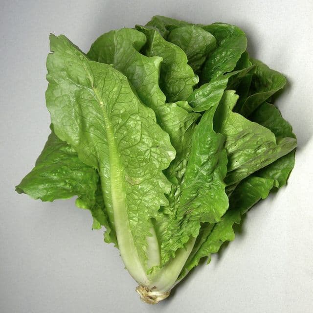 Salată verde / mix de frunze