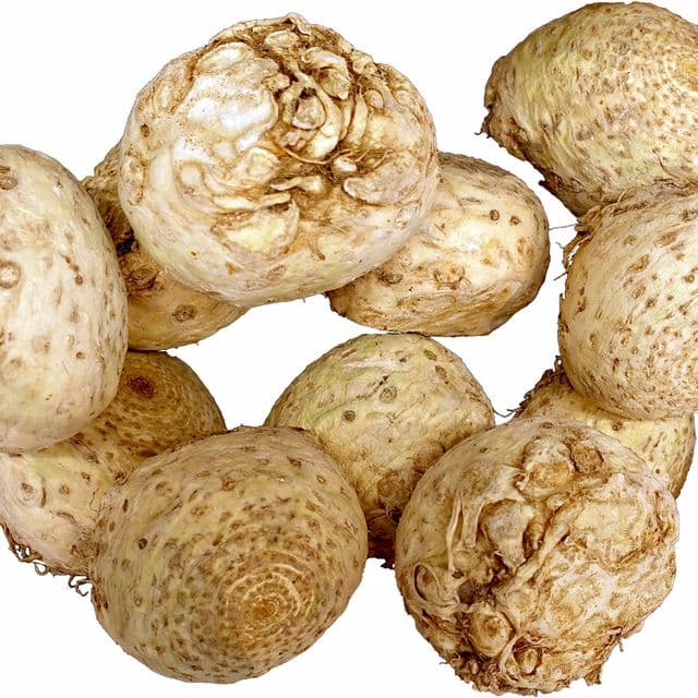 Țelină rădăcină