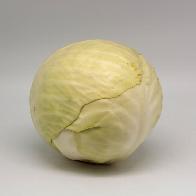 Varză albă