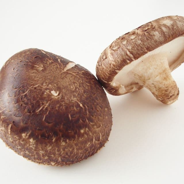 Ciuperci shiitake