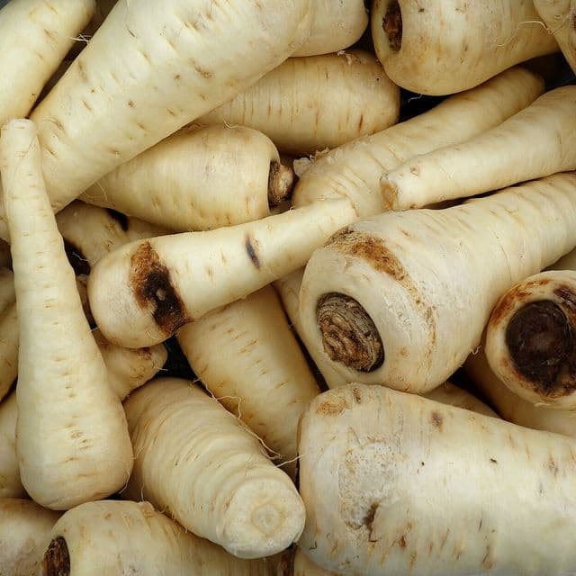 Păstârnac