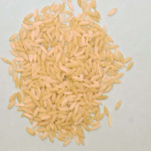 Paste orzo (risoni)